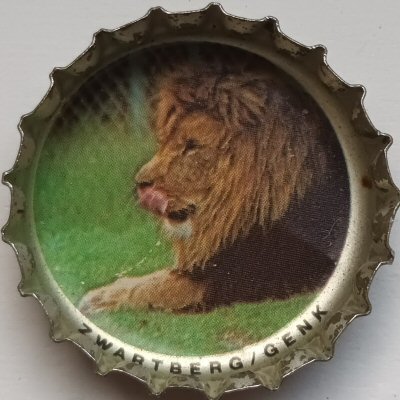 Image de capsule