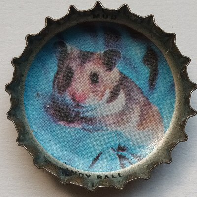 Image de capsule